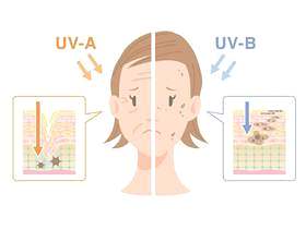 皮肤_紫外线辐射效果_脸部和部分