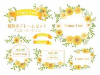 花框架·标题/黄色版本