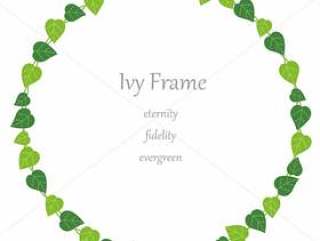 圆形常春藤框架。