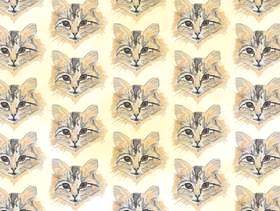  矢量模式与画猫头