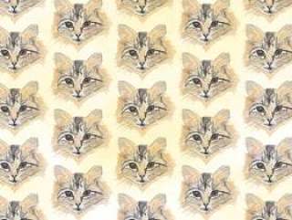  矢量模式与画猫头