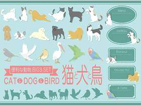 流行的动物装饰<猫，狗，鸟>