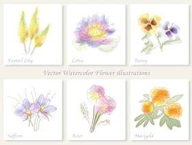 水彩风格六种花卉插图集1