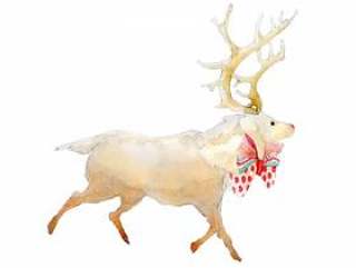 圣诞驯鹿