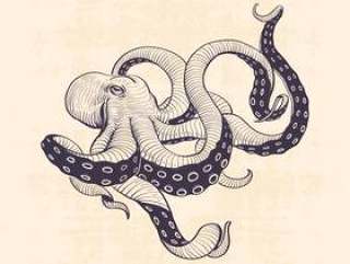 Octopus, vintage hand drawn illustration