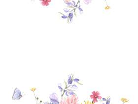 花框架206 - 非洲菊和花框架的多彩小花