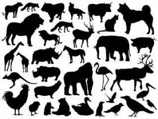 动物剪影图