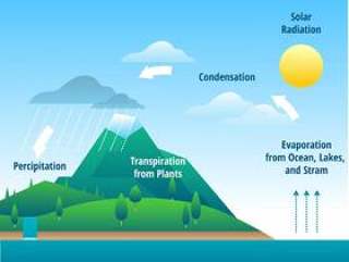 水循环信息图表矢量