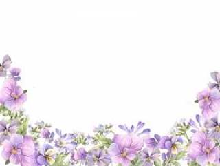 花框架119 - 紫色的世界，紫色的花朵