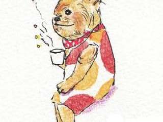 莫科里奇夫人下午