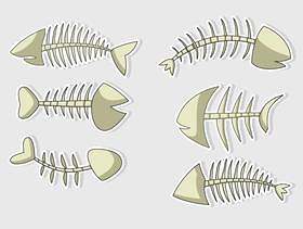 矢量孤立的鱼骨头漫画