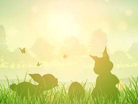 复活节兔子景观