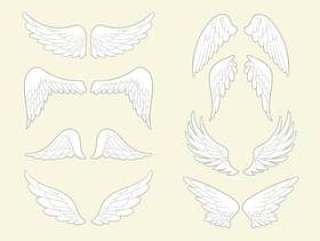 天使的翅膀矢量