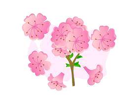 美丽的杜鹃花鲜花载体