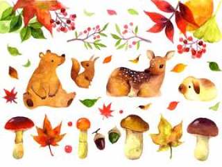 秋季动物插图集