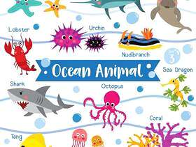 与动物名字的海洋动物动画片