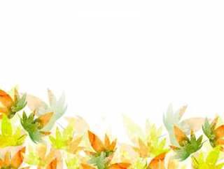 秋天的彩色框架19