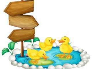 Wooden sign and ducks in the pond