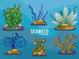 海藻变异集合水下