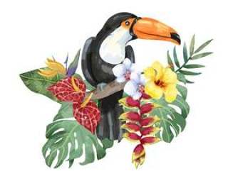 与热带花的手拉的toucan鸟