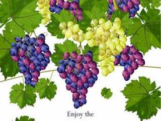 葡萄种植丰收