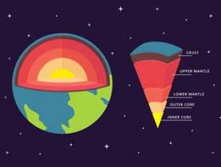 地球传染媒介Infographic的结构