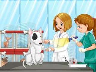 兽医在诊所帮助狗