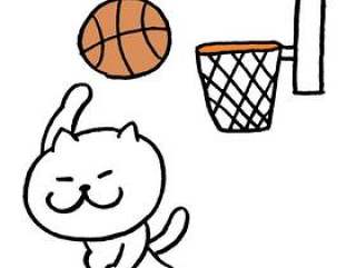 猫篮球诺克