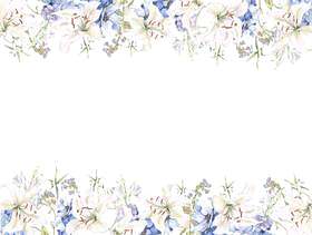 花框架231 - 卡萨布兰卡和蓝色的花框架