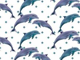 海豚模式
