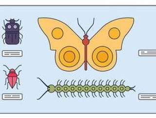 研究昆虫矢量