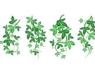 美丽的矢量艺术插画，毒葛与绿色叶子，裱的模式