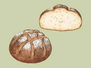 新近地被烘烤的发酵母面包手拉的例证