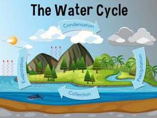 水循环图