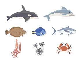 平坦的海洋动物载体