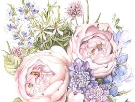 玫瑰和香草花