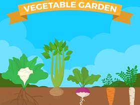 平蔬菜花园矢量图