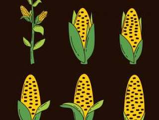 玉米收集矢量