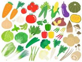 蔬菜的插图集2