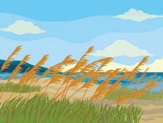 海燕麦矢量背景