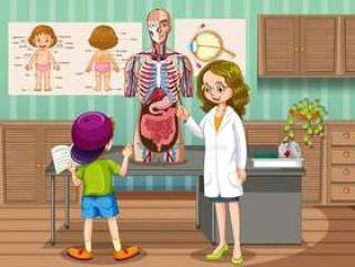 Doctor showing organs to kid