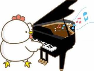 鸡钢琴