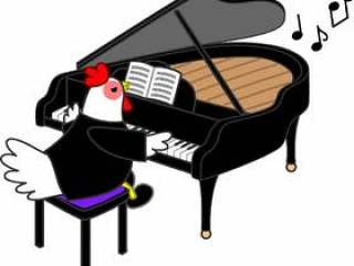 钢琴和鸡肉