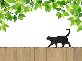 新鲜的绿色和黑猫和树围栏（背景渗透）