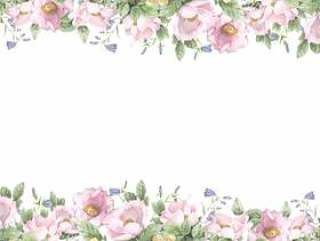 花框架183 - 野玫瑰在粉红色的花框架