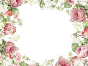 温柔的颜色玫瑰花框架 - 框架