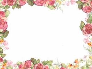 美丽的颜色玫瑰花框架，框架