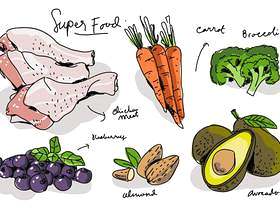 超级食物手绘矢量图
