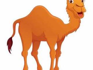 Illustration Of Cartoon Camel