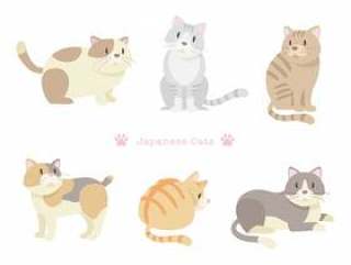日本各种猫_4 _
